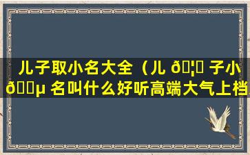 儿子取小名大全（儿 🦉 子小 🐵 名叫什么好听高端大气上档次）